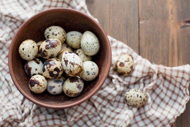 From Farm to Table: Why Quail Eggs Are The Best