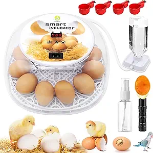 Incubators for Hatching Eggs